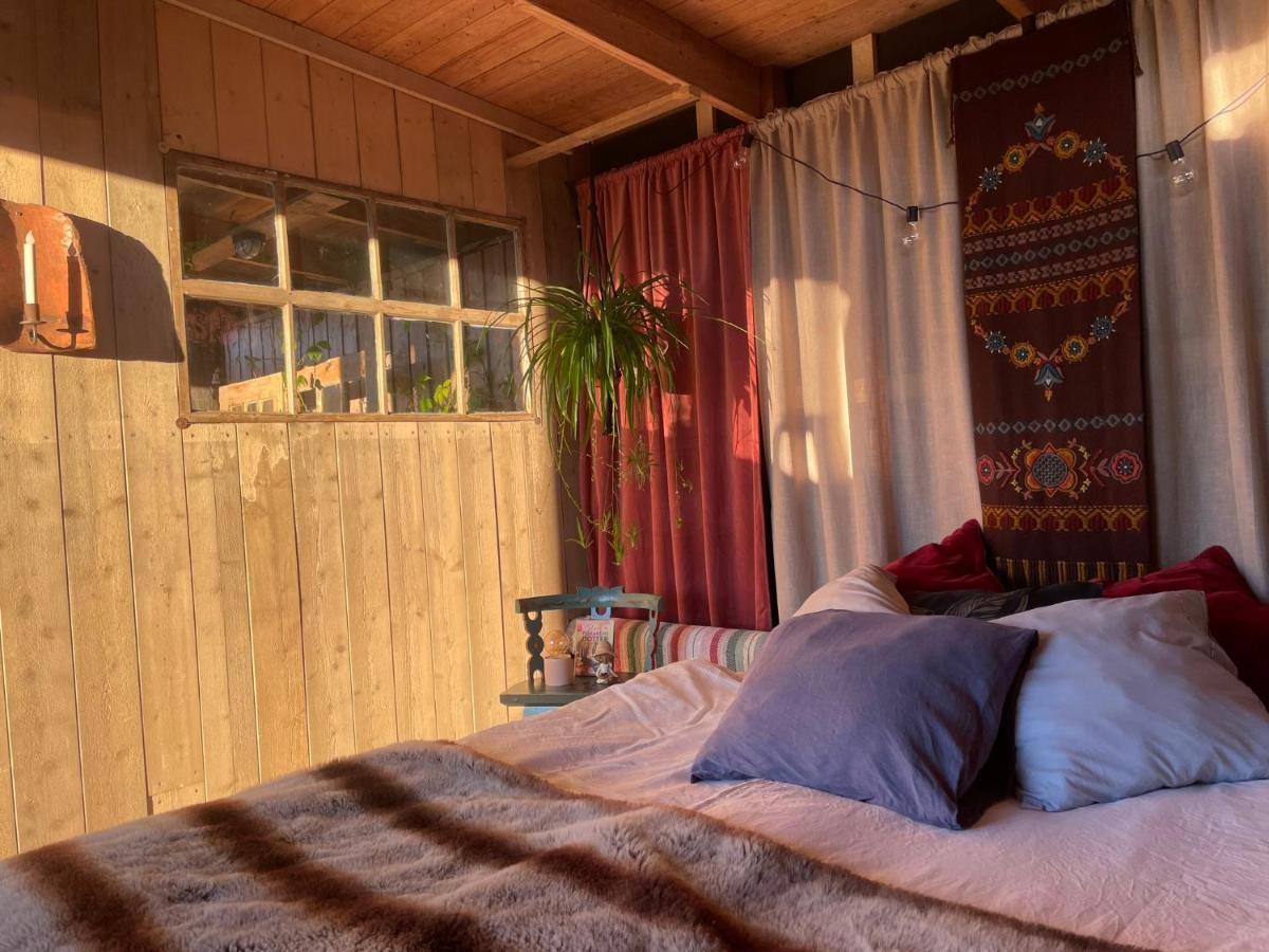 מלון Back Rider'S Glamping מראה חיצוני תמונה
